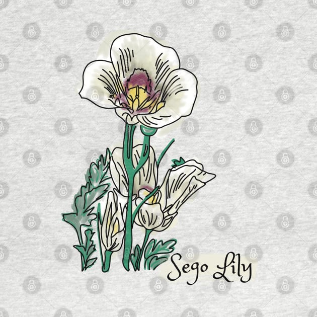 Sego Lily by Slightly Unhinged